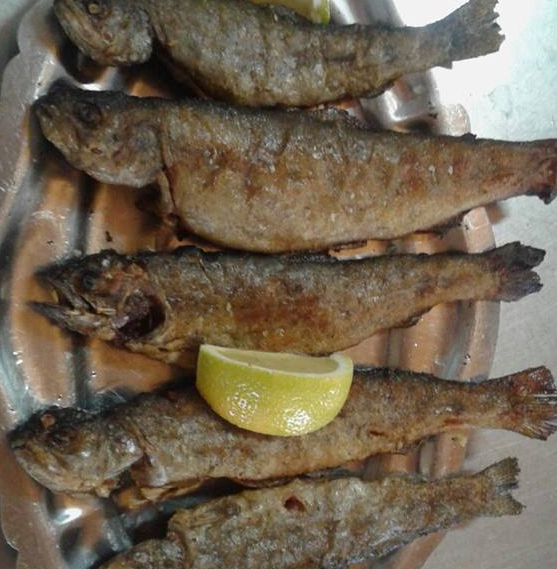 Truchas de río
